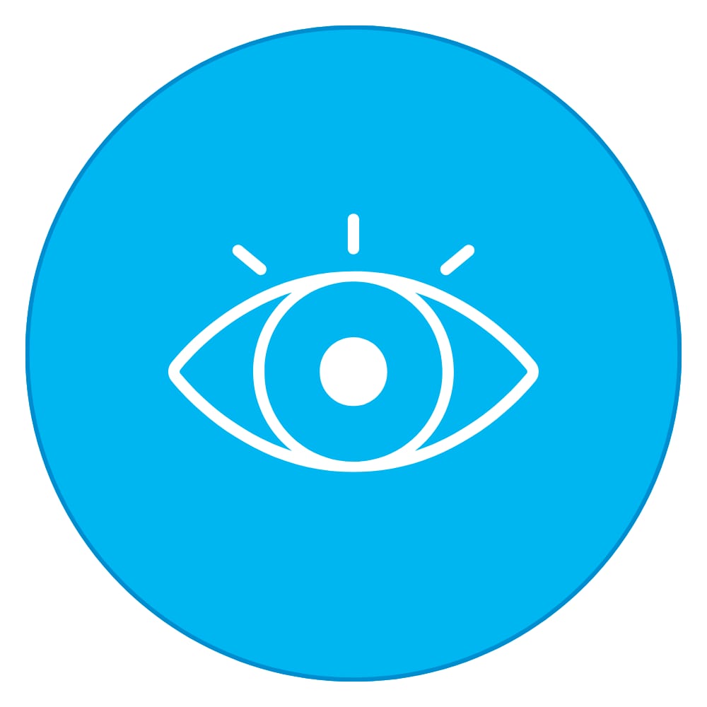 Visual Perception