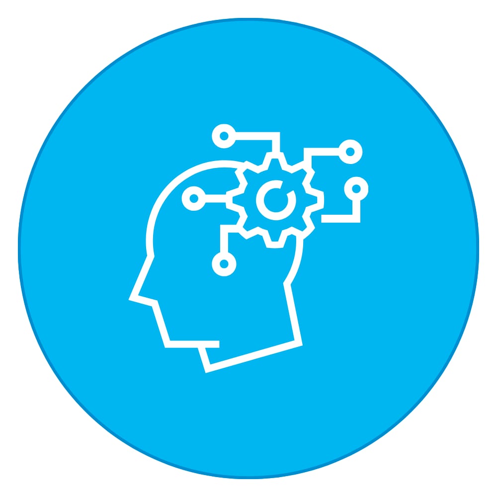 Information Processing