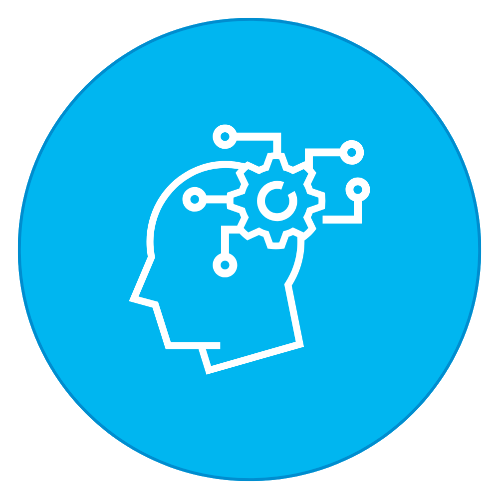 Information Processing